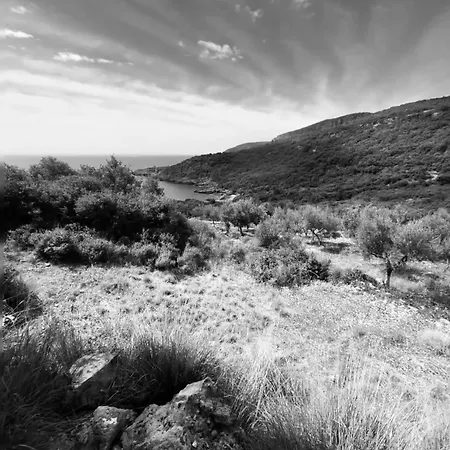 Velonas Mpakas Country ,steps To The Sea Prosilio (Peloponnese)