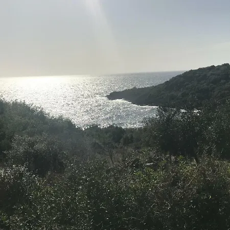 Velonas Mpakas Country ,steps To The Sea