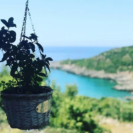 Velonas Mpakas Country ,steps To The Sea *