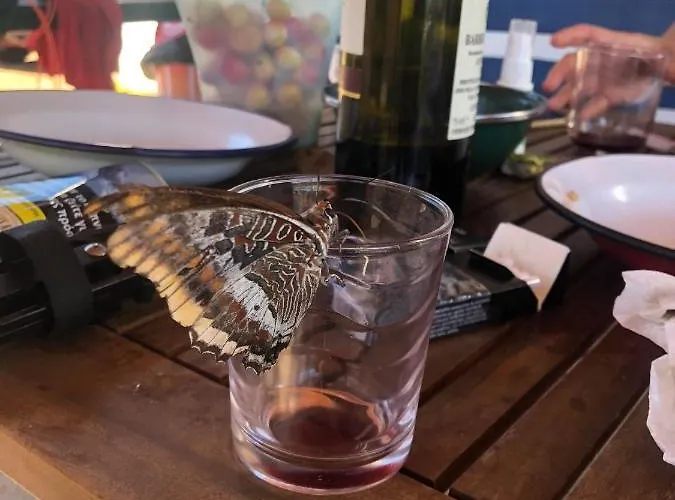 Vakantiehuis Velonas Mpakas Country *