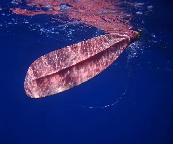 Vakantiehuis Velonas Mpakas Country Prosilio (Peloponnese)