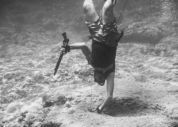 Velonas Mpakas Country ,steps To The Sea Semesterbostad Prosilio (Peloponnese)