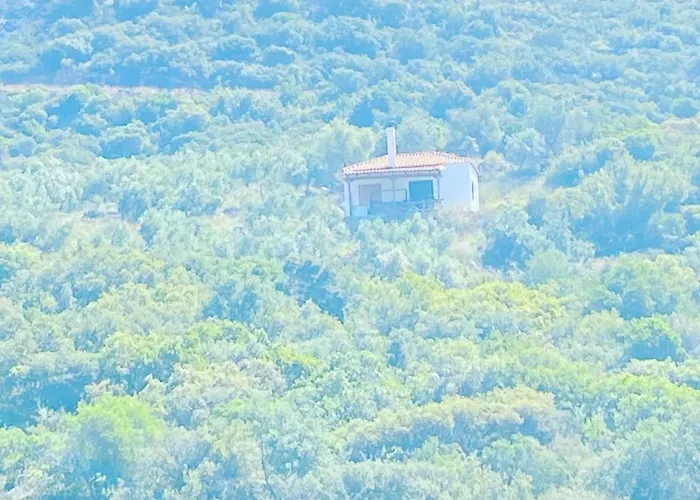 Velonas Mpakas Country ,steps To The Sea * Prosilio (Peloponnese)
