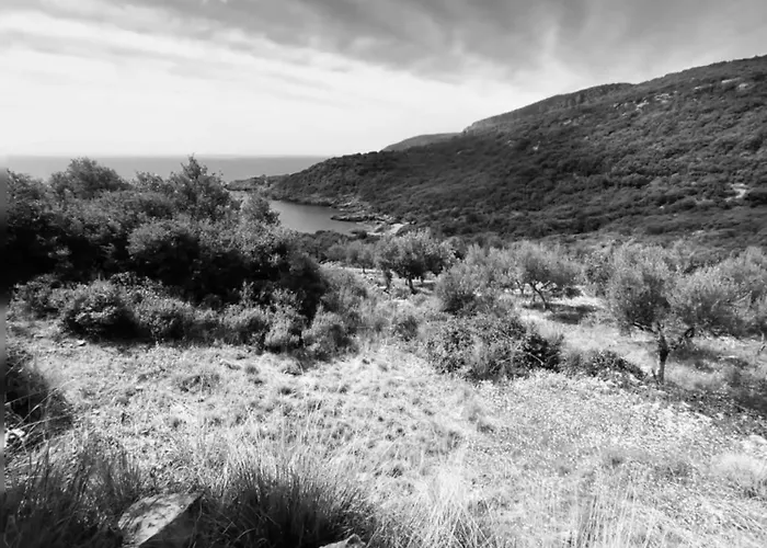 Velonas Mpakas Country ,steps To The Sea Prosilio (Peloponnese)