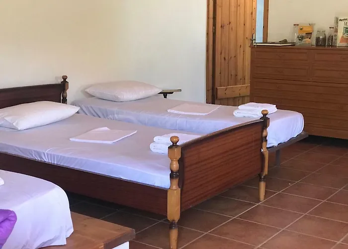 Tatil Evi Velonas Mpakas Country ,steps To The Sea Prosilio (Peloponnese)